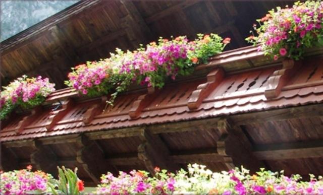 Hinterankerwald Apartment Walchsee Exterior photo