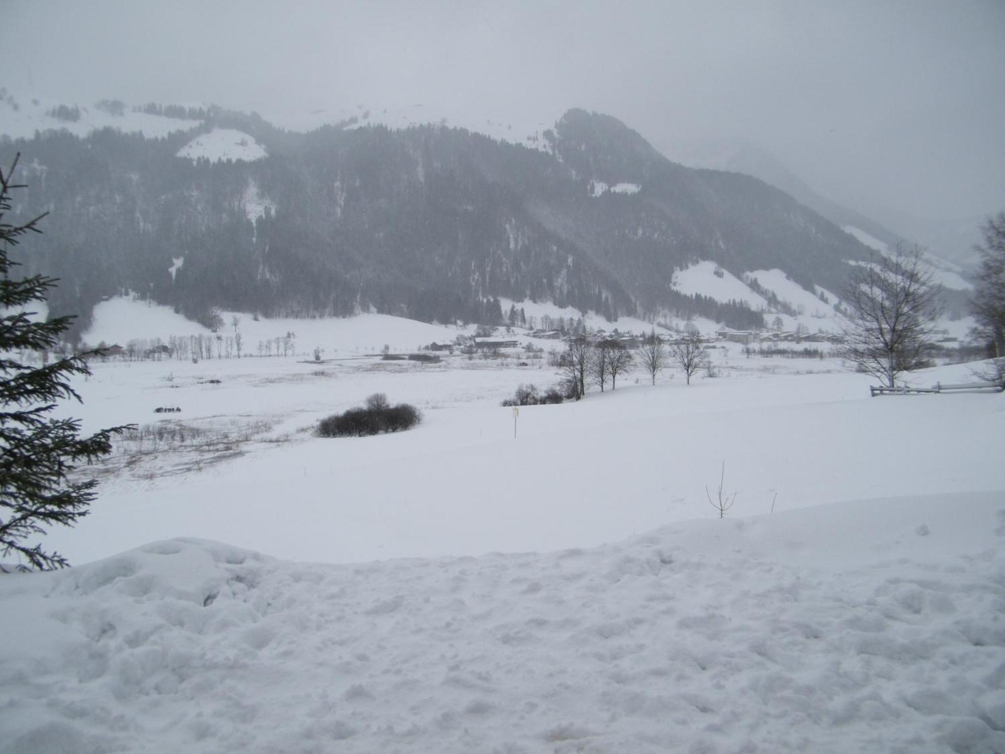 Hinterankerwald Apartment Walchsee Exterior photo
