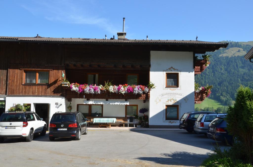 Hinterankerwald Apartment Walchsee Exterior photo